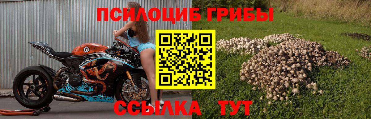 Псилоцибиновые грибы мицелий  Вход с VPN  Псилоцибиновые грибы мухоморы  Тула 